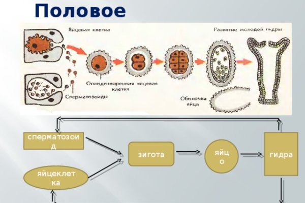 Кракен купить меф