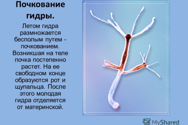 Кракен даркнет только через тор