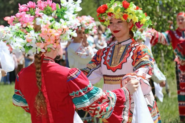 Тор для кракена