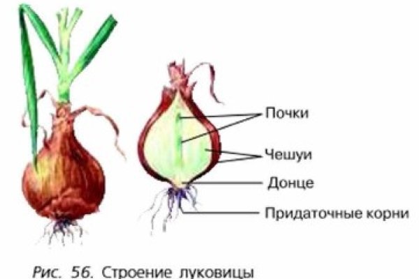 При входе на кракен пишет вы забанены